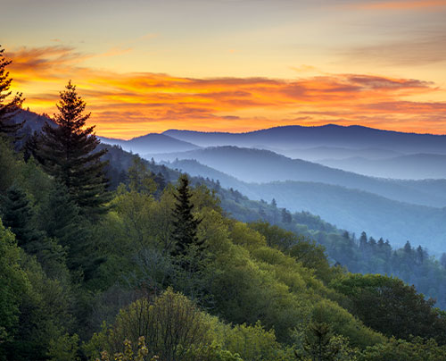 Image of TennesseeclientState