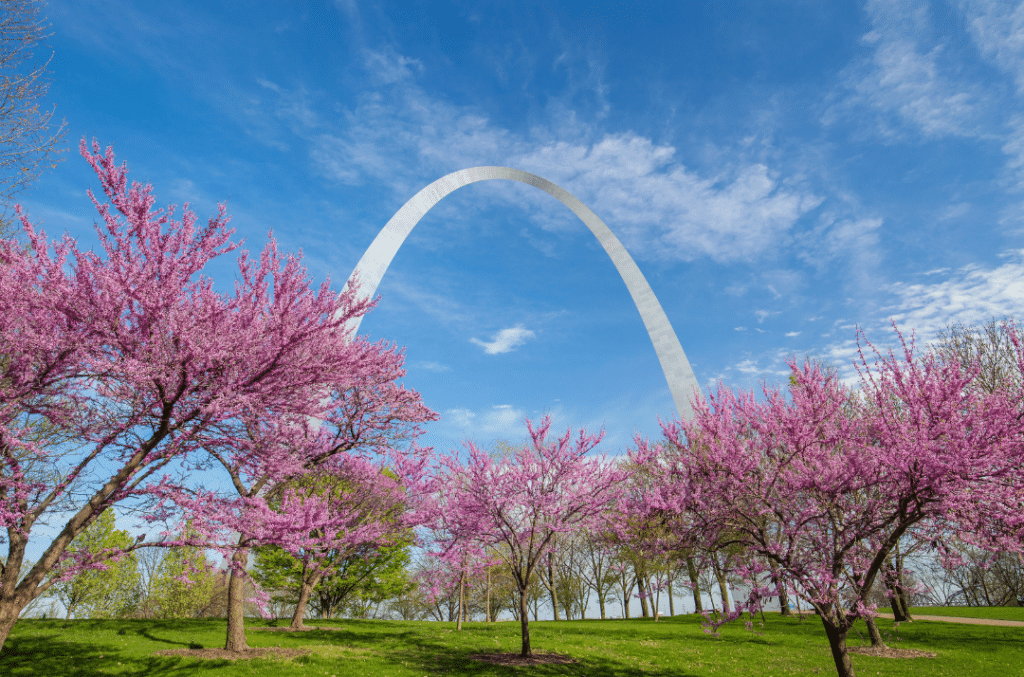 Gateway Arch